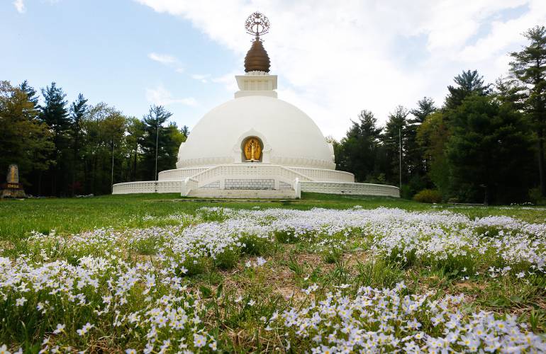 A Walk for Peace in Gaza from Leverett Town Hall to the New England Peace Pagoda will be held Saturday. A Walk for Peace in Gaza from Leverett Town Hall to the New England Peace Pagoda will be held Saturday.