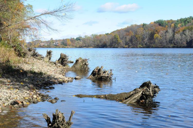 The western bank of the Connecticut River in Gill across from the intake/outflow of the Northfield Mountain Pumped Storage Facility. The western bank of the Connecticut River in Gill across from the intake/outflow of the Northfield Mountain Pumped Storage Facility.