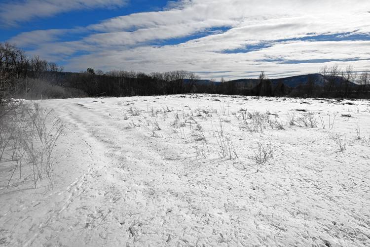 The lot on Plain Road East, looking south from the end of the road, in Deerfield where a new regional animal shelter may be built by the Friends of the Franklin County Sheriff’s Office Regional Dog Shelter.