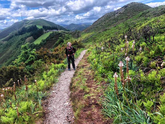 Helene Leue has walked has walked eight routes of the Camino de Santiago since her first journey in spring 2023. The Camino de Santiago is a network of pilgrimage routes through Spain, Portugal and France that lead to the tomb of St. James in Santiago de Compostela, Spain. Nearly 350,000 hikers walk the various routes each year.