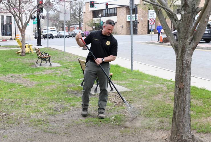 Greenfield Police Chief Todd Dodge rakes the Greenfield Common as part of a downtown cleanup on Friday.