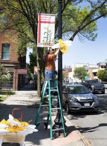 Greenfield Business Association Director Hannah Rechtschaffen installs bee signs on light posts on Main Street in Greenfield on Monday, promoting the upcoming Bee Fest on Saturday.