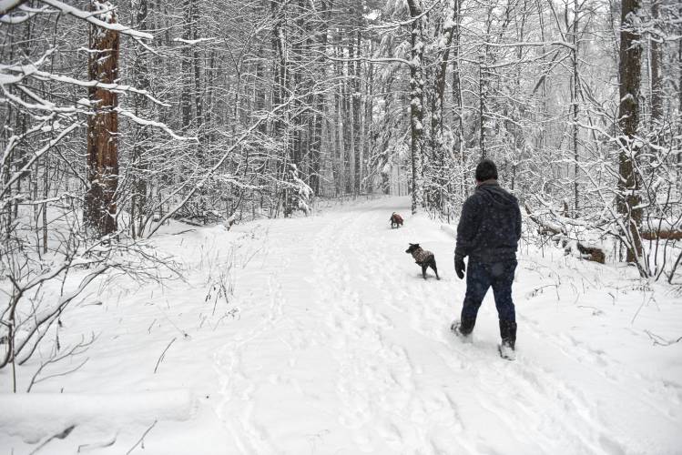 The first substantial snowfall of the season made for fluffy walking conditions in Highland Park in Greenfield on Sunday.