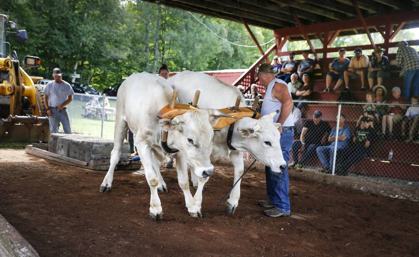 A scene from the 100th annual Heath Fair on Sunday, Aug. 20, 2017, at the Heath Fairgrounds.