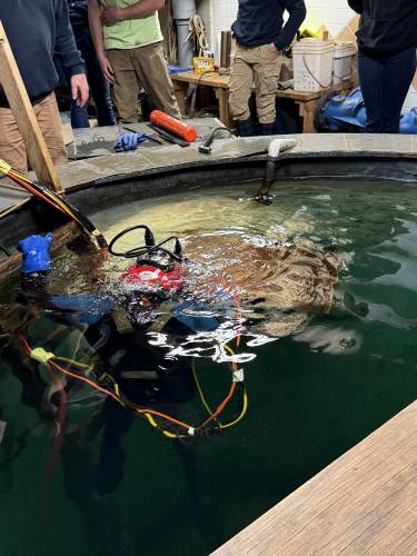 Collin Eddy, a senior Welding & Metal Fabrication student at Franklin County Technical School, is submerged in a dive tank for underwater welding during a visit to the North Atlantic States Carpenters Training Fund facility in Millbury on March 19.