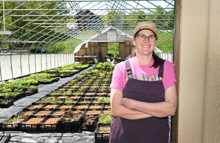 Amy Murray of Hillside Nursery in Ashfield.