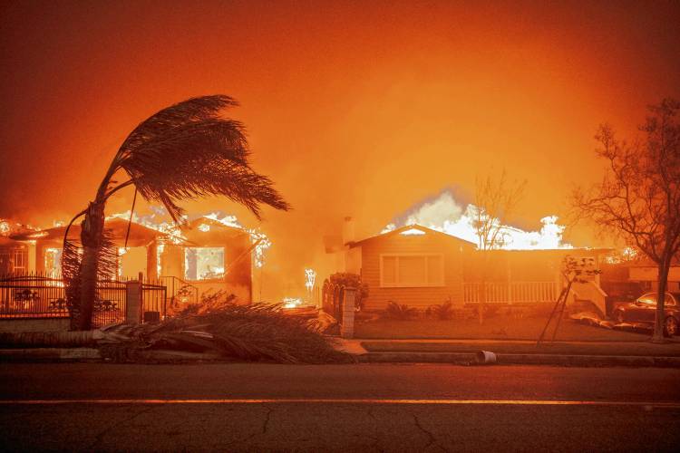 Trees are knocked down and tested in high winds as the Eaton Fire burns homes and other buildings on Jan. 8 in Altadena, Calif.