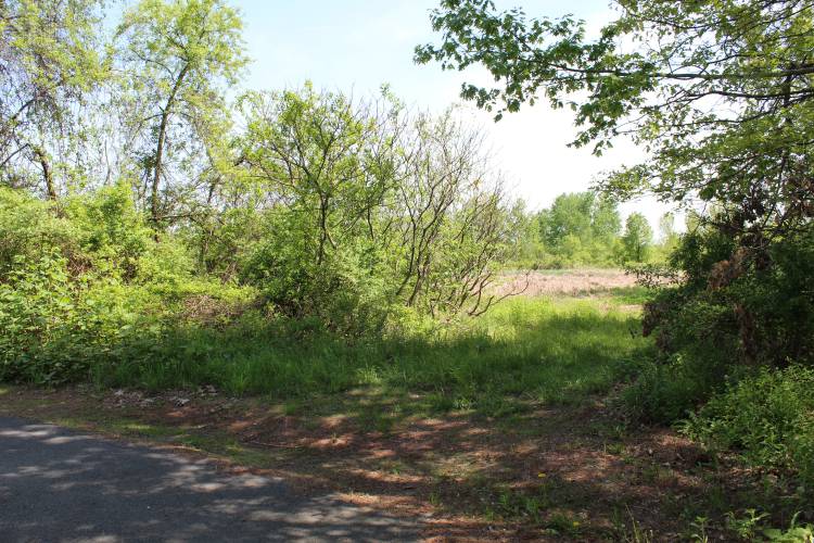 The entrance to the proposed Franklin County Sheriff’s Office Regional Dog Shelter off Plain Road East in Deerfield.