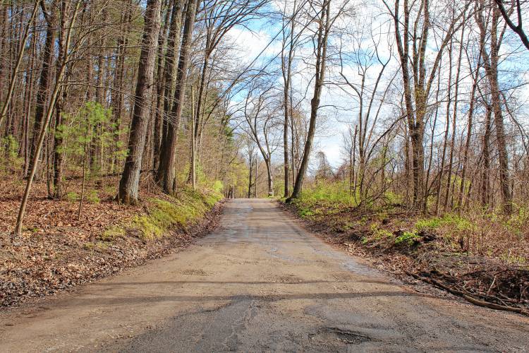 The view of Steam Mill Road in Deerfield just before 34 Steam Mill Road, where it turns from a paved road into a dirt one. The view of Steam Mill Road in Deerfield just before 34 Steam Mill Road, where it turns from a paved road into a dirt one.