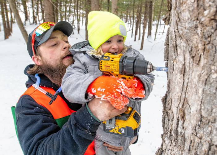 Cooper Deane helps his 3-year-old daughter Avery tap into a tree.