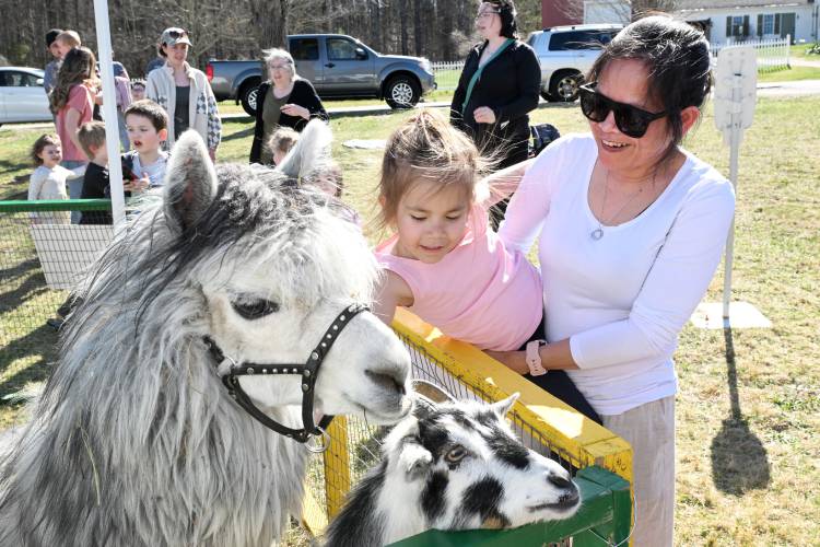 Sereyneth Thomas, of Orange, holds her 5-year-old daughter, Lucy Thomas, as she pets an alpaca at the Records and Burpee petting zoo held at Moore-Leland Library in North Orange.