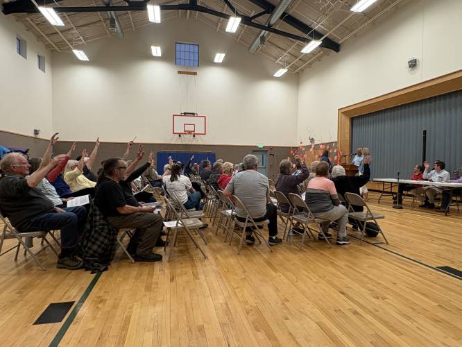 Forty-nine Rowe voters approved 35 articles during Annual Town Meeting Monday evening at Rowe Elementary School.