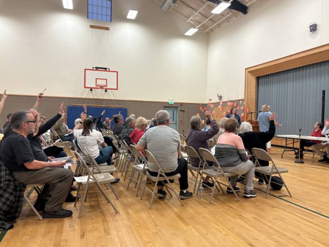 Forty-nine Rowe voters approved 35 articles during Annual Town Meeting Monday evening at Rowe Elementary School.