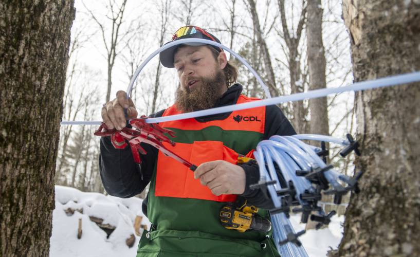 “I was probably 8 years old when I tapped my first tree,” Cooper Deane says. “A family friend who was sugaring gave me some old tubing and said, ‘here, you can try it at home if you want.’ And I remember boiling sap in a five-gallon turkey cooker in our front yard.”