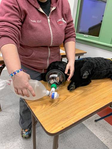 Dr. Kaitlyn Boucher, an emergency medicine specialist at Veterinary Emergency & Specialty Hospital in South Deerfield and the wife of firefighter Brian Boucher, brought some colleagues and her two personal dogs to the Orange Fire Department on Jan. 26 to deliver a training required by Nero’s Law, which allows for the medical treatment and transport of police K-9s injured in the line of duty.