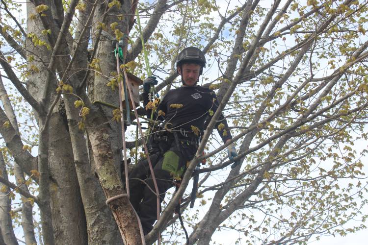 An employee with Woodsmith Forestry of Montague demonstrates how to raise or lower heavy branches and logs during the third Construction & Trades Careers Day at the Franklin County Fairgrounds earlier this month.