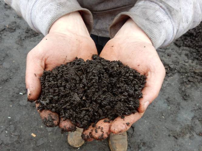Food waste collected through a developing program in Gill will go to Martin’s Farm in Greenfield, where the compost will be turned into soil for farming. Food waste collected through a developing program in Gill will go to Martin’s Farm in Greenfield, where the compost will be turned into soil for farming.