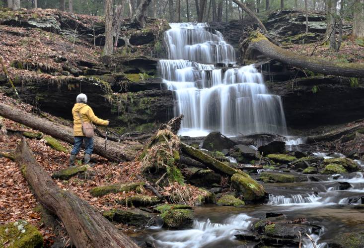 Montague resident Janice Stone pauses at Gunn Brook Falls in Sunderland while she was out hiking and checking on the fiddleheads on Monday. Montague resident Janice Stone pauses at Gunn Brook Falls in Sunderland while she was out hiking and checking on the fiddleheads on Monday.