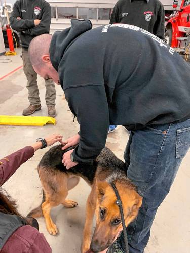 Dr. Kaitlyn Boucher, an emergency medicine specialist at Veterinary Emergency & Specialty Hospital in South Deerfield and the wife of firefighter Brian Boucher, brought some colleagues and her two personal dogs to the Orange Fire Department on Jan. 26 to deliver a training required by Nero’s Law, which allows for the medical treatment and transport of police K-9s injured in the line of duty.