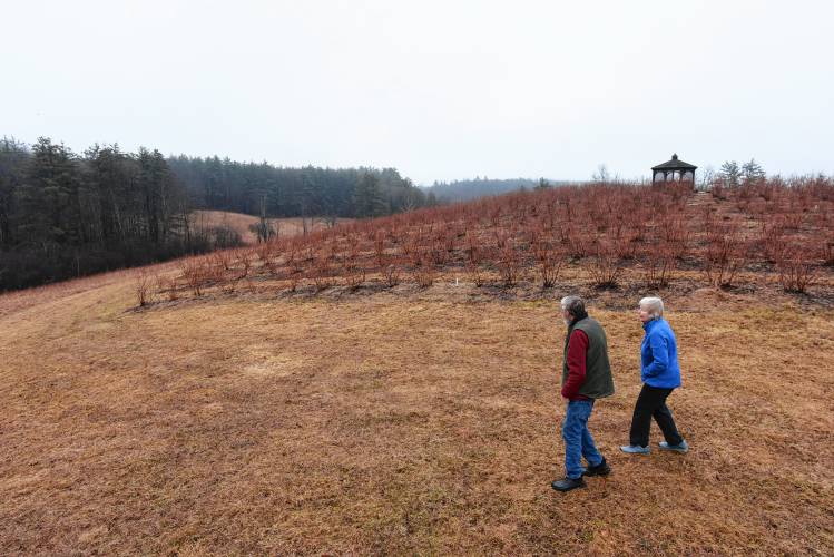 Susan and Larry Flaccus on their property at Kenburn Orchards in Shelburne.