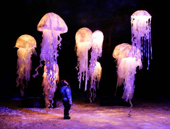 Egan Ferris, who was 3 years old at the time, gazes up at a display of giant jellyfish created by artist Mia Radysh during the 2018 Winter HooPla in Shelburne Falls. The ninth annual event returns Feb. 22.