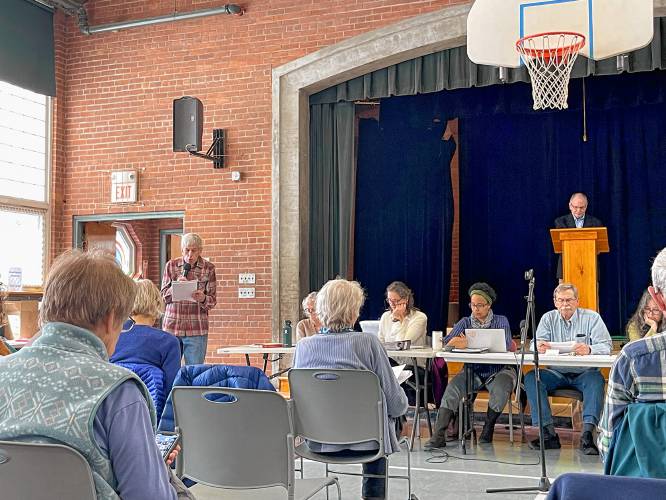 Planning Board and Community Preservation Committee member Steve Freedman speaks at Leverett’s Annual Town Meeting on Saturday at Leverett Elementary School.