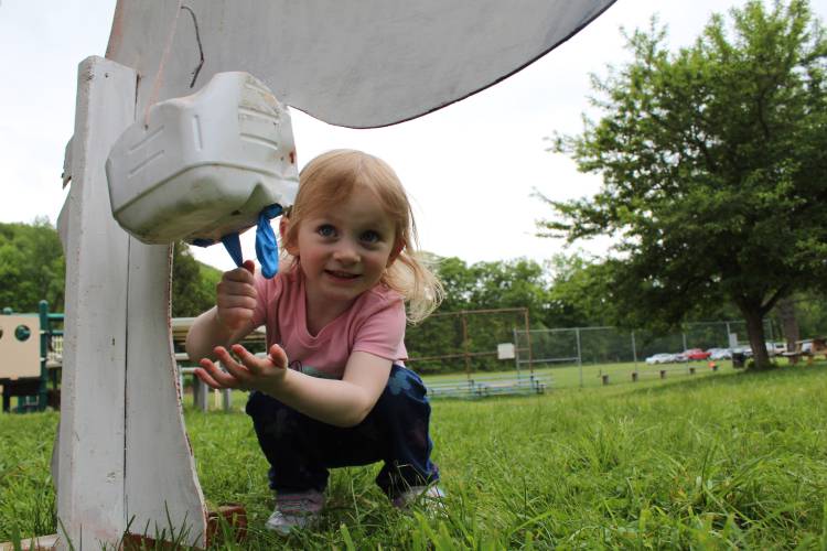 Charlemont resident Evelyn LeClair, 2, milks the pretend cow outside Hawlemont Regional School's barn, which is used for the Hawlemont, Agriculture and You (HAY) program.