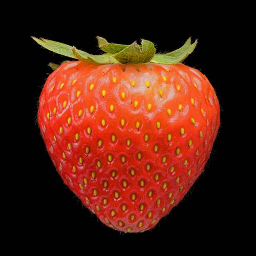 Strawberries are among the locally grown plants that display a special spiral pattern suggesting plants might know how to do math.