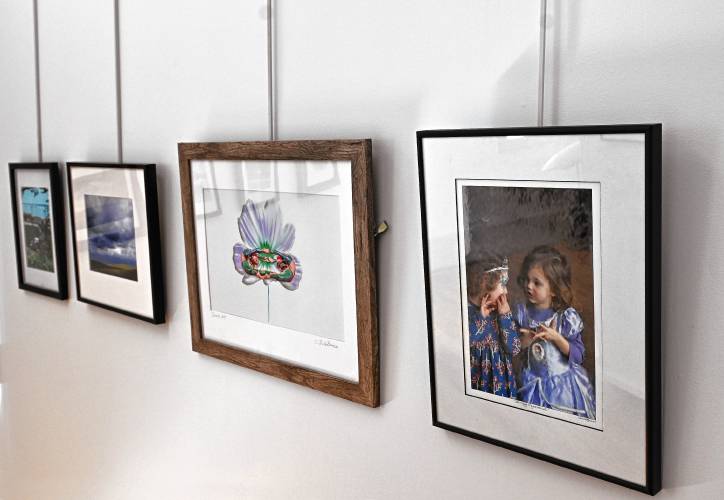 The Deerfield Valley Art Association’s fifth annual photography exhibit will be on display at the Fiddleheads Gallery through March 30.