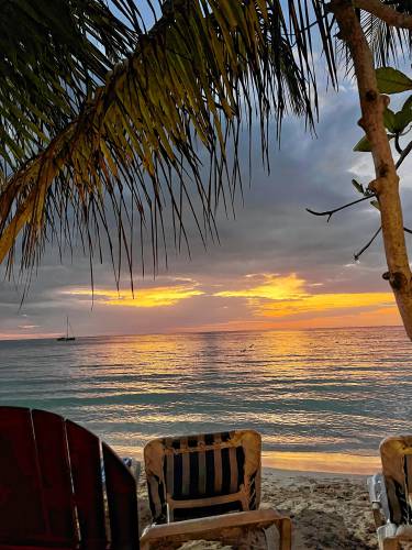 The view from Alfred’s Ocean Palace in Jamaica.