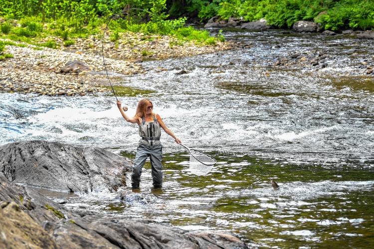 Ashfield resident Casey Sawma goes fly fishing on the Deerfield River in Conway.