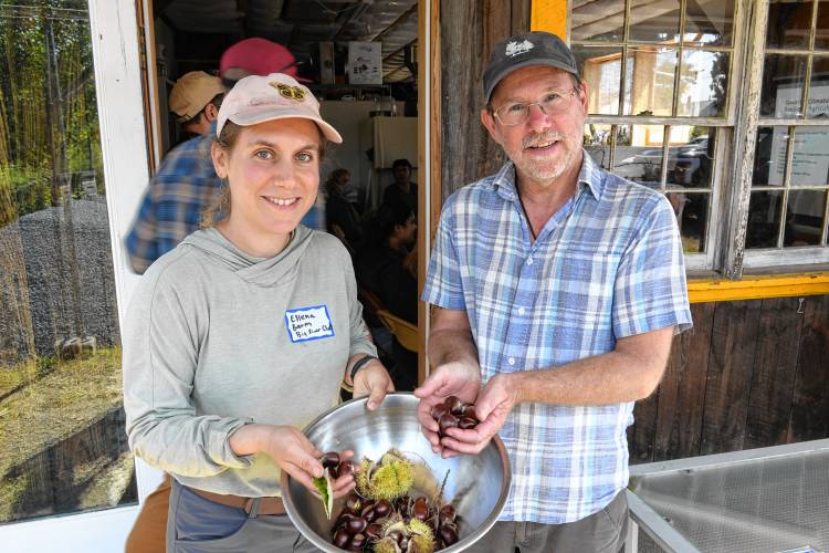 Elena Baum and Jono Neiger of Big River Chestnuts in Sunderland. The farm recently received a $74,542 grant to buy eight pieces of equipment, such as a wash/float tank, a mill for chestnut flour and a bag-filling machine to expand its chestnut processing capacity.