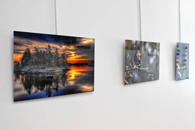 This year, the Deerfield Valley Art Association annual photography exhibit at Fiddleheads Gallery includes 60 photos from 19 artists across Massachusetts, Vermont and Connecticut.