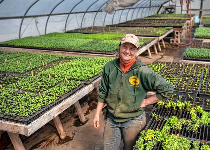 Kerry Taylor, a manager at Brookfield Farm in Amherst.