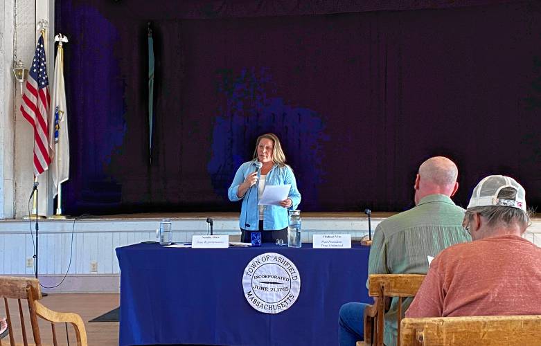 State Rep. Natalie Blais, D-Deerfield, shared details about recent and future legislation geared toward energy and protecting the environment during an event at Ashfield Town Hall on Friday.