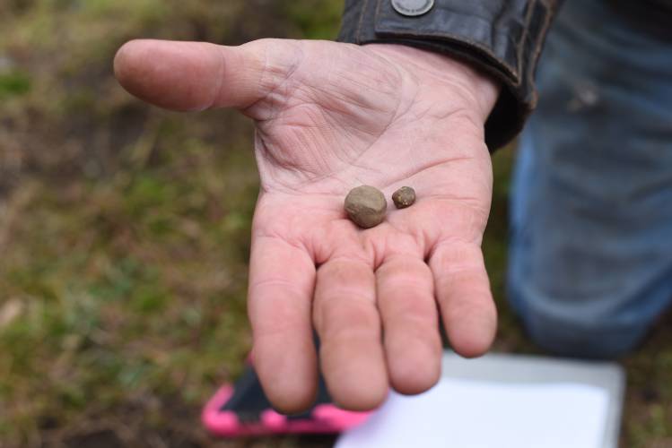 Chief Archaeologist Kevin McBride holds two musket balls of different sizes that were found on Meridian Street in Greenfield.