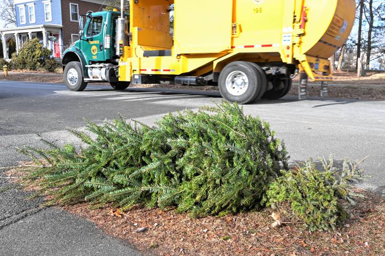 The Greenfield Department of Public Works will pick up your Christmas tree, large or small, at the curb during the month of January. The Orange Fireman’s Relief Association will provide a similar service this Saturday for people who have made arrangements. The Greenfield Department of Public Works will pick up your Christmas tree, large or small, at the curb during the month of January. The Orange Fireman’s Relief Association will provide a similar service this Saturday for people who have made arrangements.