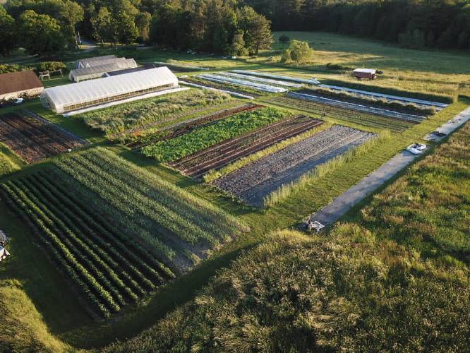 A view of Free Living Farm in Petersham from above.