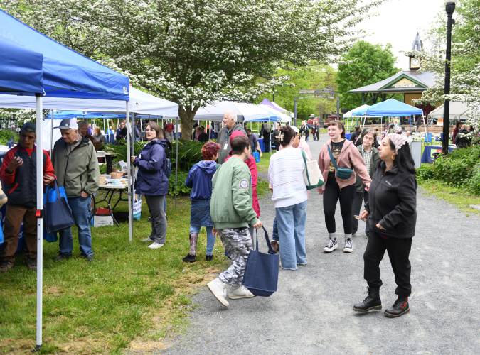 Attendees check out the services, crafts, food and music available at the 23rd annual Mental Health & Wellness Fair at Greenfield’s Energy Park last week.