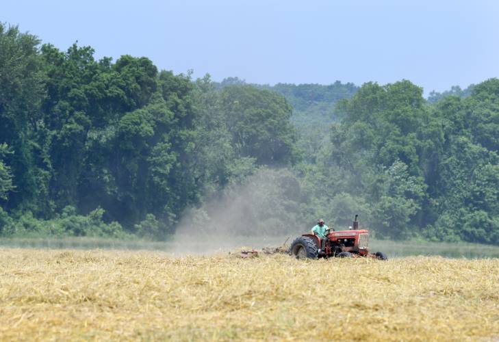 A farmer rakes hay into windrows for baling in Deerfield’s North Meadows.