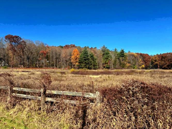 The Mount Grace Land Conservation Trust, in collaboration with Franklin County Community Land Trust, has successfully protected the 47-acre Watroba property. This photo shows a northwest view from East Taylor Hill Road in Montague.