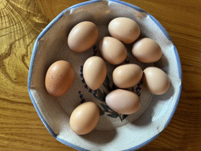 Eggs have been consumed since at least 1500 B.C.E. and probably long before. How early cooks discovered their assets in cooking and baking is a mystery.
