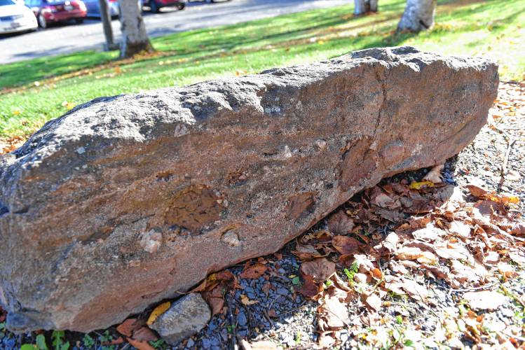 Jurassic armored mud balls can be found on the side of this boulder at Greenfield Community College. Jurassic armored mud balls can be found on the side of this boulder at Greenfield Community College.