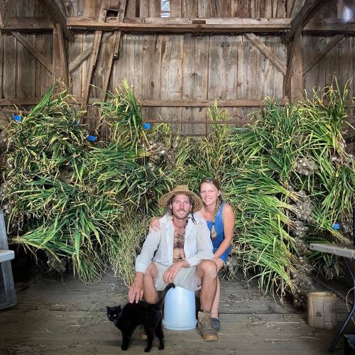 Michael and Cara Zueger from Free Living Farm in Petersham with their barn cat and a mid-summer garlic harvest hung up to dry.