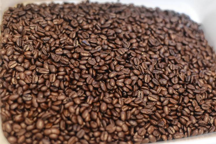 Stout Pigeon Coffee’s roasted coffee beans.