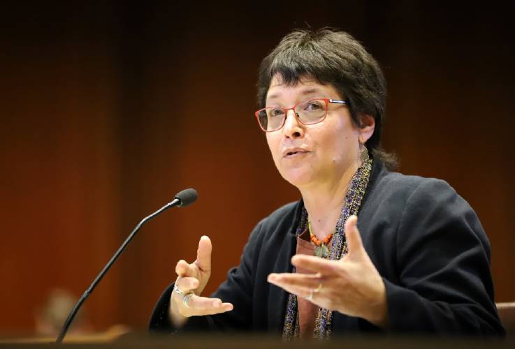 State Rep. Mindy Domb, D-Amherst, held a virtual briefing Tuesday on the effects of long COVID and what the state can do about it. It was the second such briefing she has held this year. 
