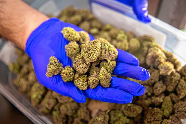 Despite being a  billion-dollar enterprise with over 700 retailers operating across the state, the Massachusetts retail marijuana market is struggling.