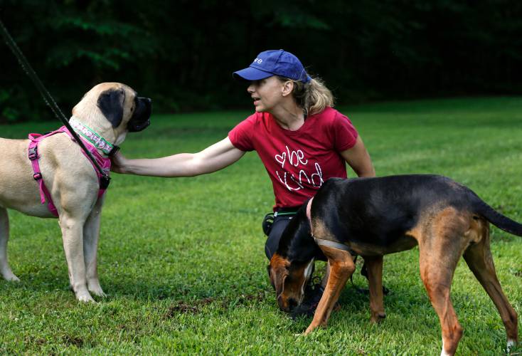 Rehabilitated dogs are showcased during the seventh annual Mutts in Need fundraising event for the Franklin County Sheriff’s Office Regional Dog Shelter in August 2019 at the Millers Falls Rod and Gun Club.