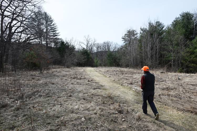 Pictured is part of 60 acres in Conway that is being conserved with help from Franklin Land Trust. Give Back to the Land Day on Tuesday, April 22, brings together five organizations, including Franklin Land Trust, to benefit from a 24-hour donation period to raise funding to support the region’s conservation needs. Pictured is part of 60 acres in Conway that is being conserved with help from Franklin Land Trust. Give Back to the Land Day on Tuesday, April 22, brings together five organizations, including Franklin Land Trust, to benefit from a 24-hour donation period to raise funding to support the region’s conservation needs.