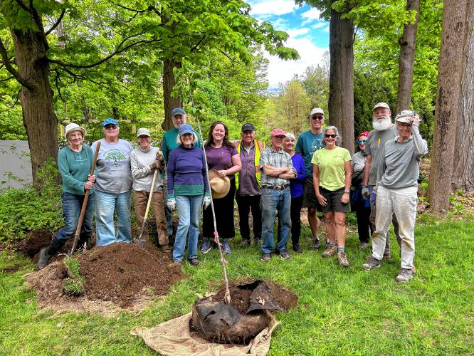 The Northfield Tree50th Project has reached its goal of planting 50 new shade and ornamental trees along Northfield’s Main Street. The Northfield Tree50th Project has reached its goal of planting 50 new shade and ornamental trees along Northfield’s Main Street.
